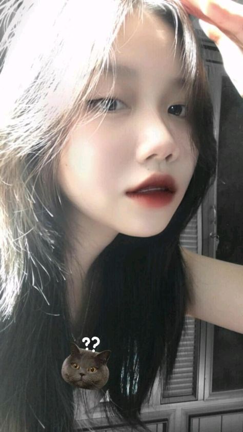 ww欧洲ww在线观看