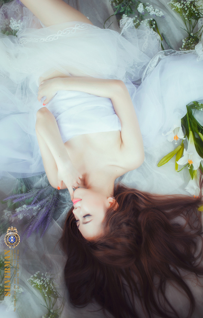 美国禁忌4在线