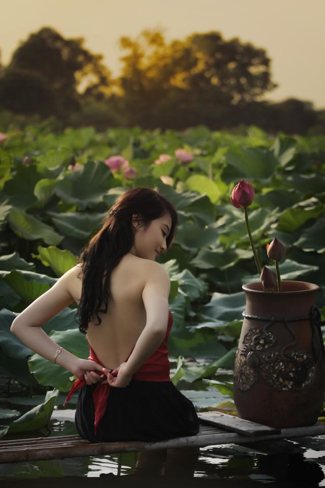 红楼梦在线